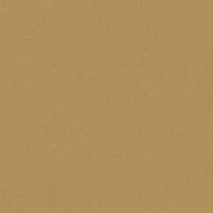Paint and Paper Library Suede V Paint